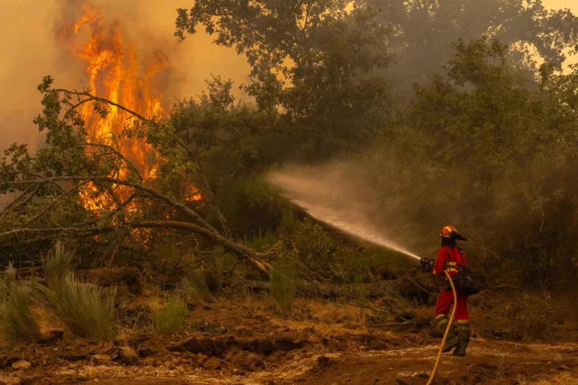 El incendio de Niebla, controlado después de 14 días: también se estabiliza el fuego en Las Peñas de Riglos