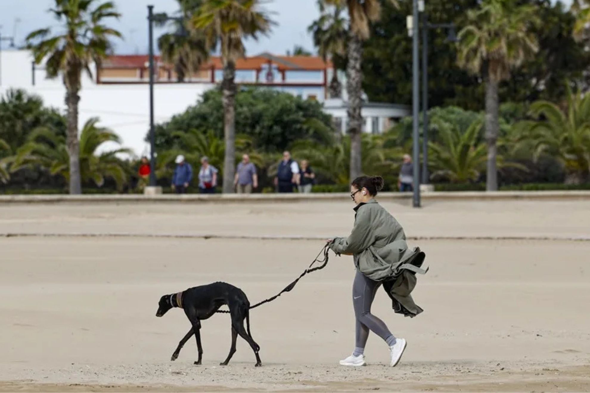 Víctor Mañero, adiestrador: “Los perros que tiran de la correa tienen falta de normas, de disciplina y un estrés en casa alto”