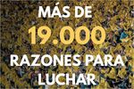 El abonado del Villarreal mantiene su fidelidad en una Cerámica que este año crece