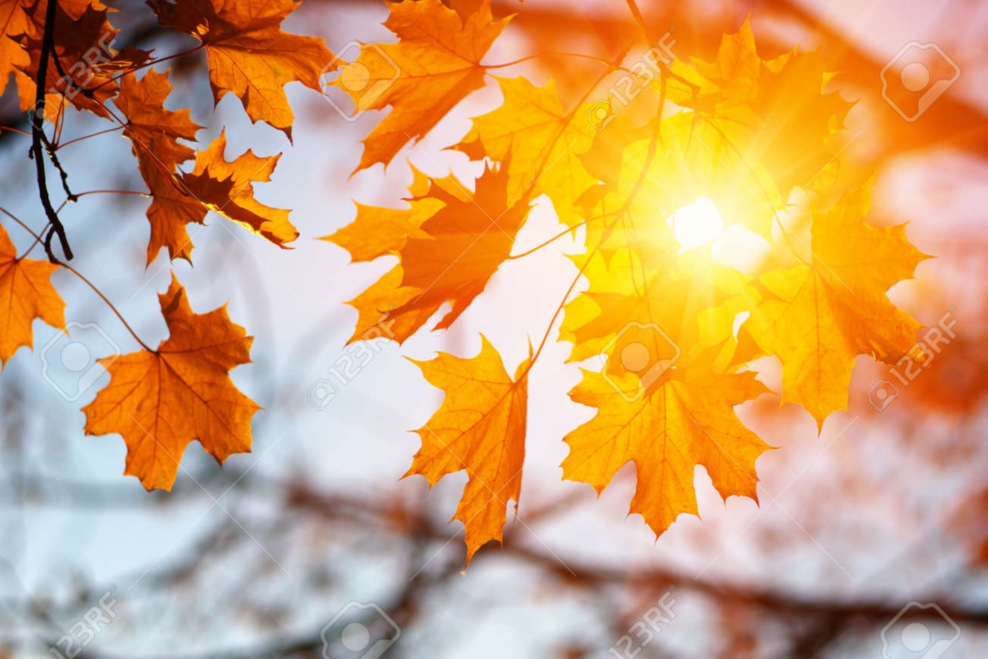 Comienza el otoño y esta es la posible evolución en España: se esperan anomalías de lluvias y temperaturas