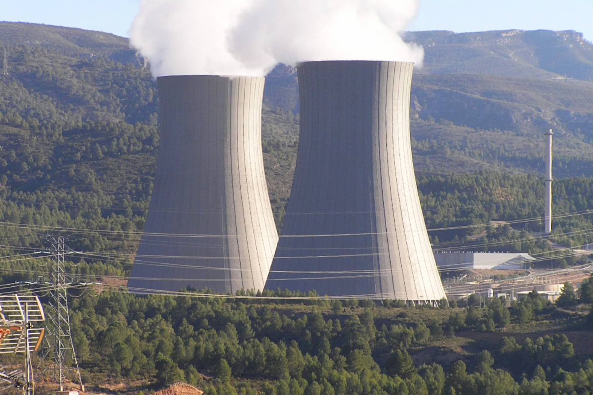 Apagan dos reactores nucleares en Francia tras detectarse medusas cerca de sus tomas de agua de mar: podrían obstruir los filtros y provocar una parada automática