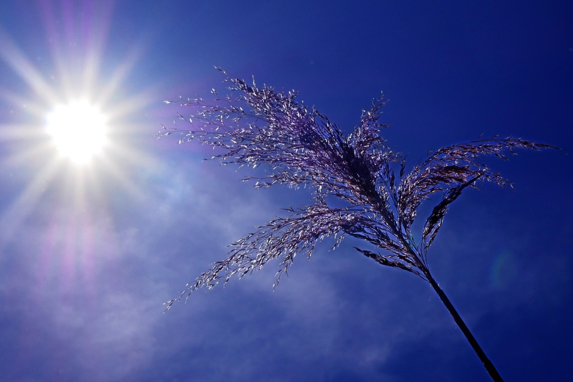 Las temperaturas crecen en España: hasta 14 grados por encima de la media en varias comunidades autónomas