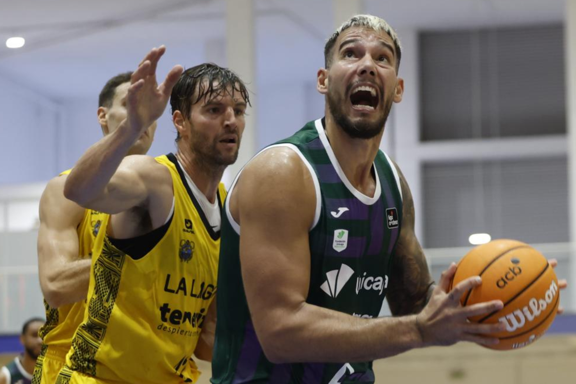 Willy Hernangómez se adueña de la pintura del Unicaja
