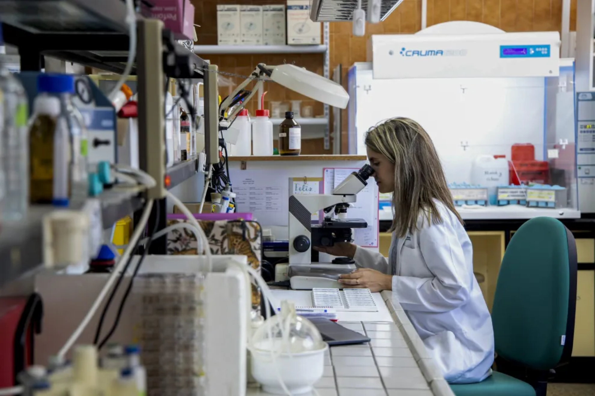El cáncer encuentra una fuente de nutrientes inesperada: así utiliza el glutatión para sobrevivir