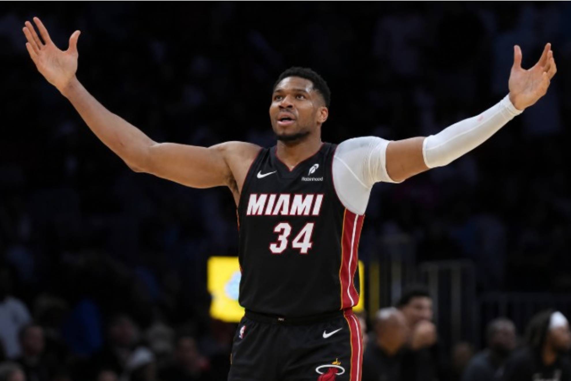 La pesadilla de Antetokounmpo en Miami con las iguanas: "Si siguen apareciendo, me mudo"
