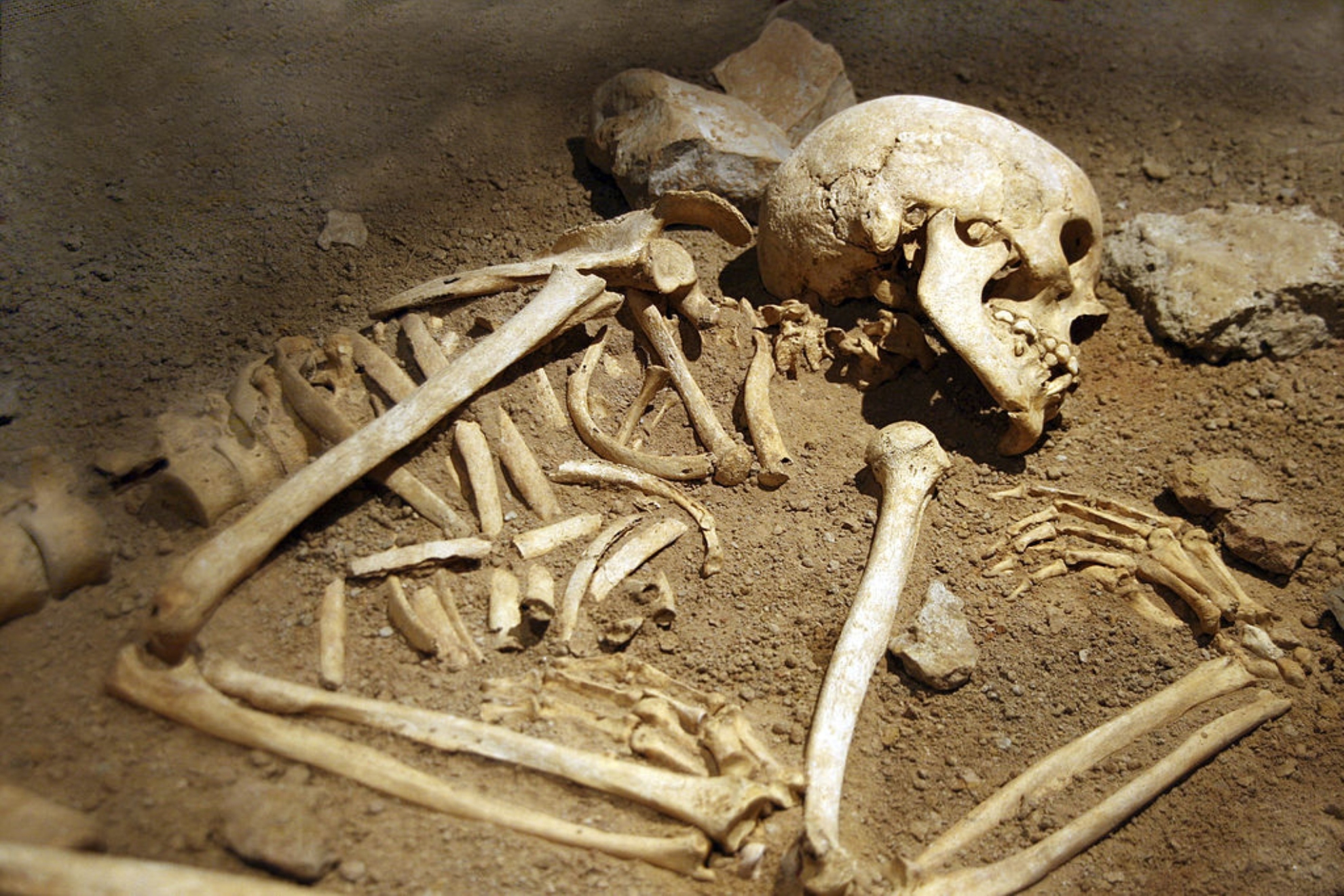 En 1859, se encontró un esqueleto en la isla del Rey Guillermo: 170 años después, han identificado su ADN y estuvo inmerso en una de las expediciones más trágicas de la historia