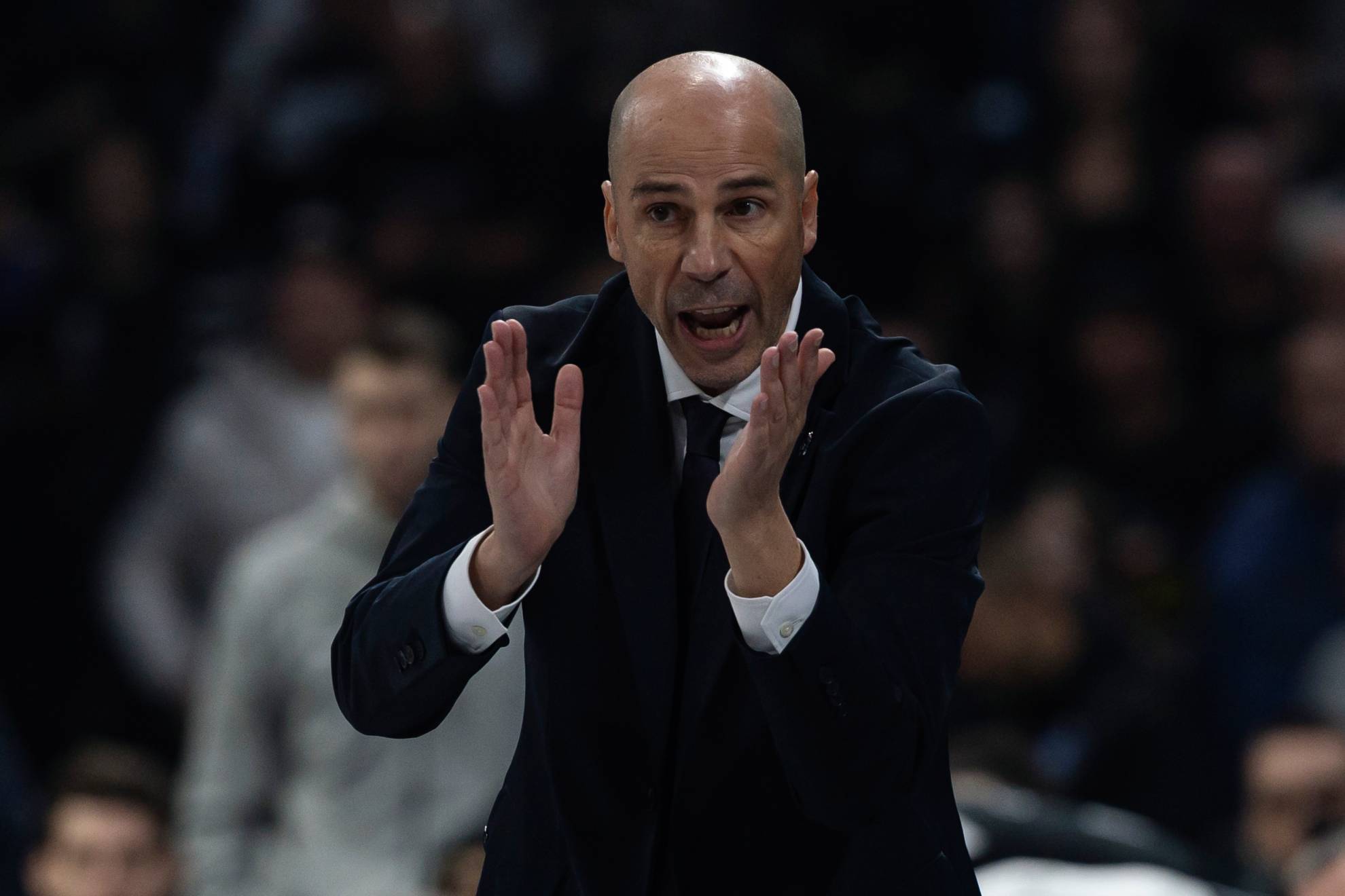 Peñarroya: "Yo no vine al Partizan para sustituir a Obradovic sino para hacer mi trabajo"