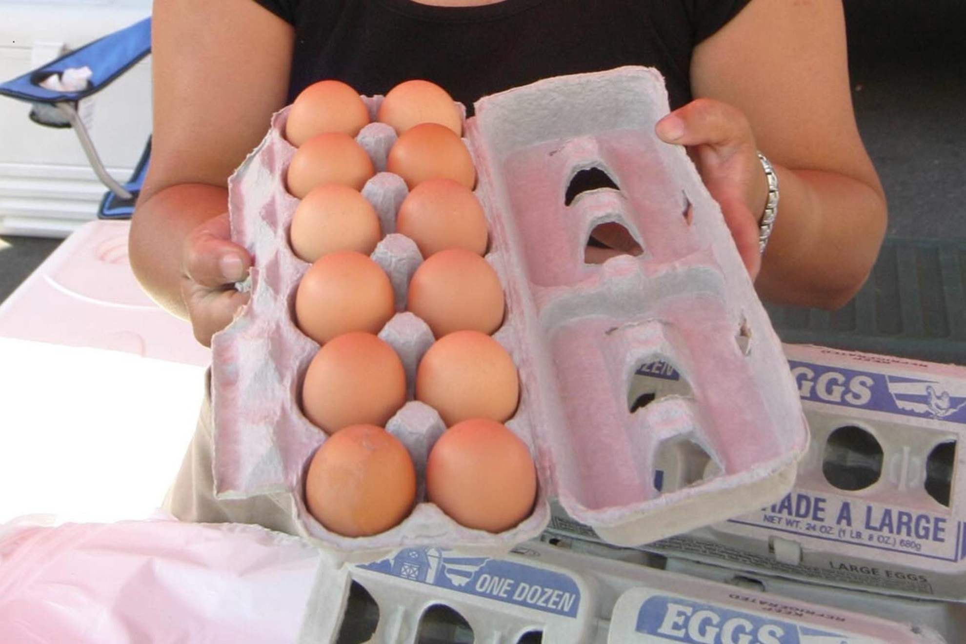 Trece intoxicados y tres hospitalizados tras consumir huevos contaminados con salmonela en Vitoria