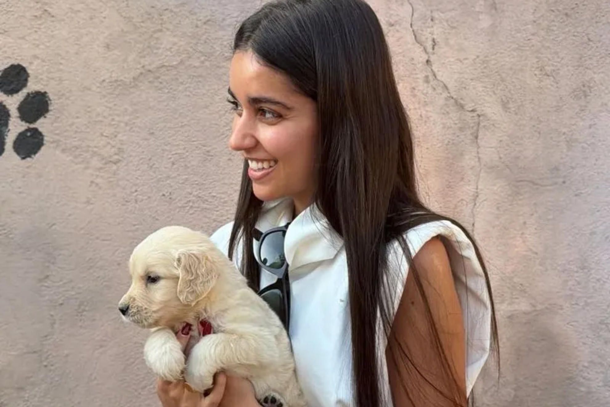 Críticas a Inés García por quejarse del comportamiento de sus perros tras pasar un mes desde su adopción: "No son peluches ni muñecos"