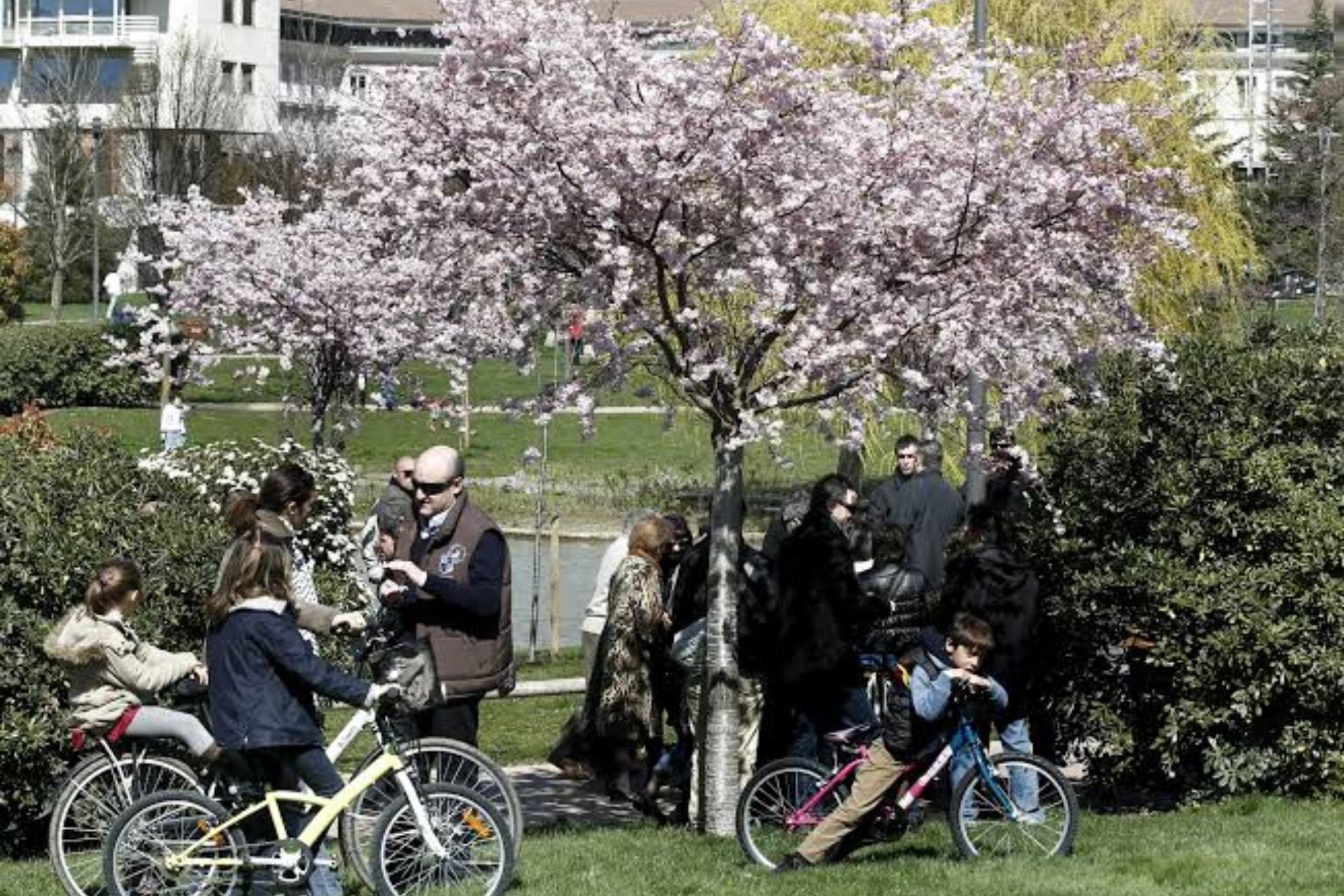 La calidad de vida en España está en la zona norte: estas son las mejores comunidades según los datos del INE