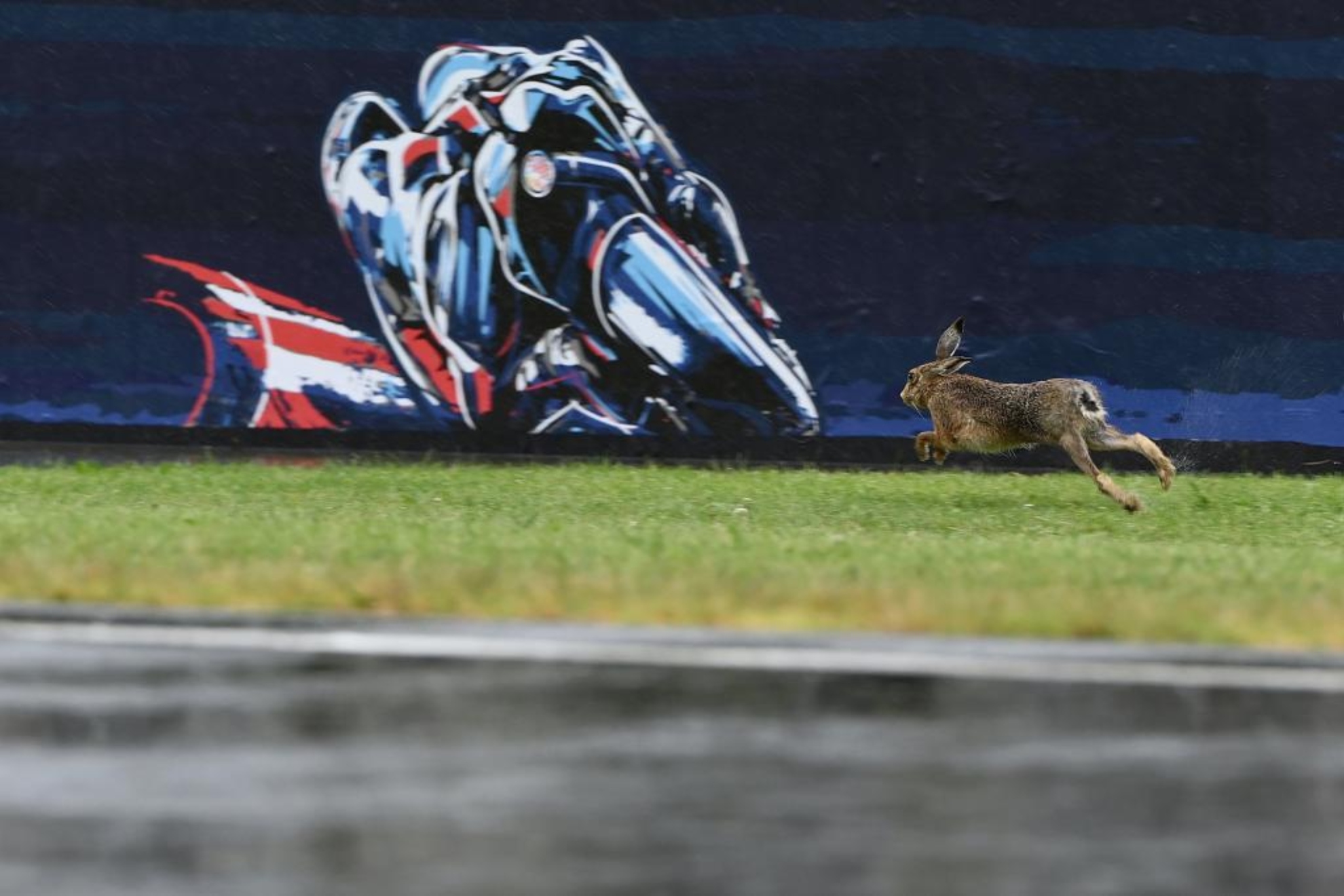 MotoGP se despide de Phillip Island sin una carrera