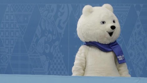 El osito de Sochi no conduce