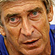 Pellegrini