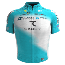 VF Group - Bardiani CSF 7 Saber'