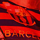 Campe�n de Liga